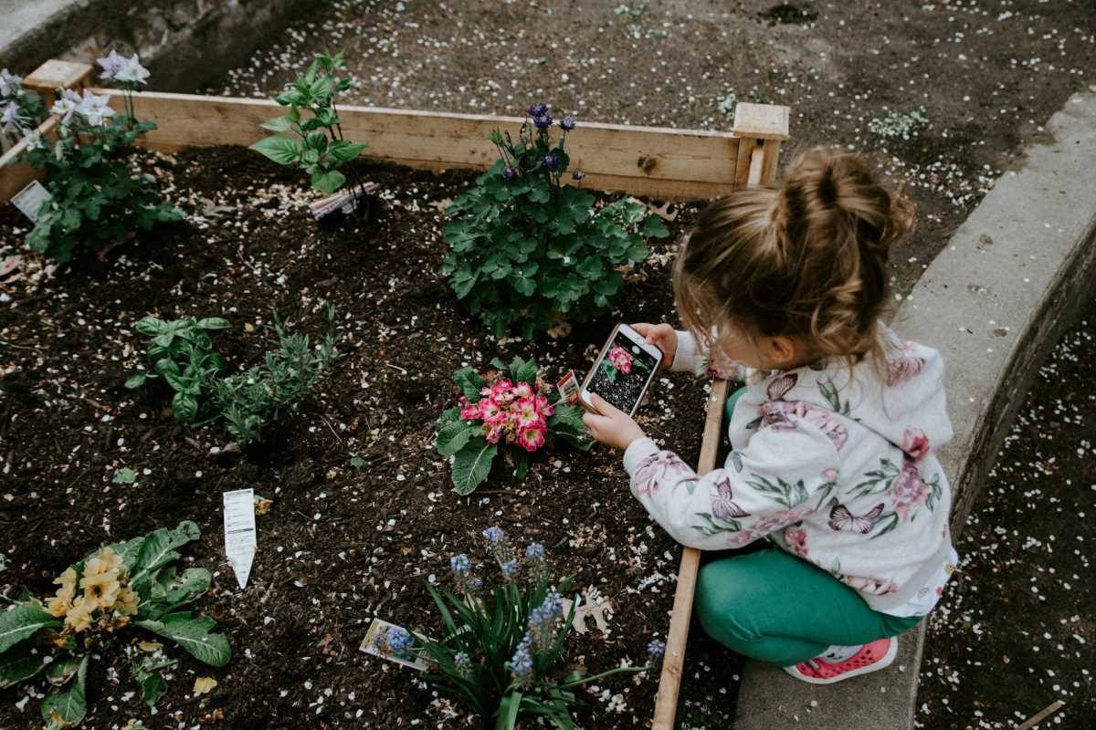 Fun and Creative Activities for Kids to Replace Screen Time